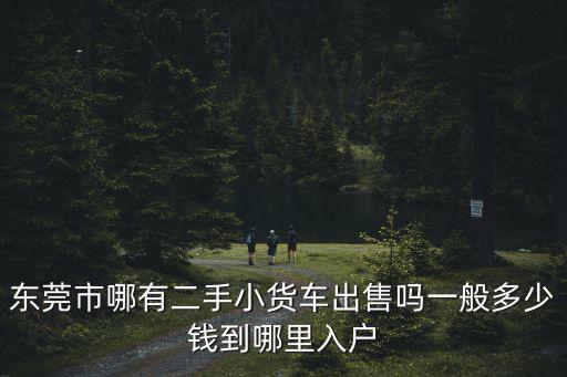 東莞市哪有二手小貨車出售嗎一般多少錢到哪里入戶