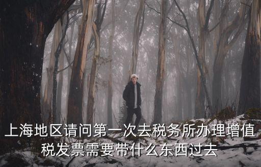 上海市去稅務局領發票要帶什么東西，去稅務局領發票需要帶什么資料去