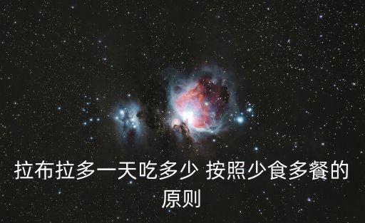 拉布拉多一天吃多少 按照少食多餐的原則