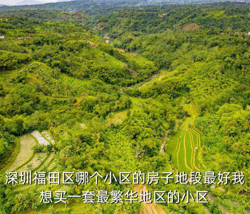 深圳福田區(qū)哪個小區(qū)的房子地段最好我想買一套最繁華地區(qū)的小區(qū)