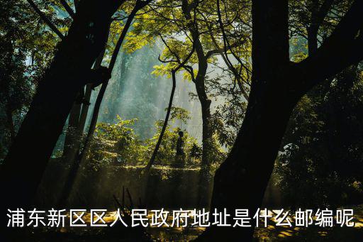 浦東新區區人民政府地址是什么郵編呢