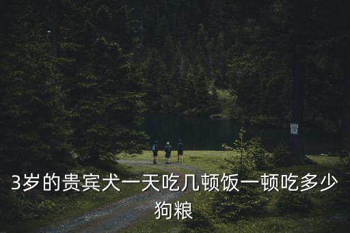 三歲泰迪喂多少狗糧，3歲的貴賓犬一天吃幾頓飯一頓吃多少狗糧