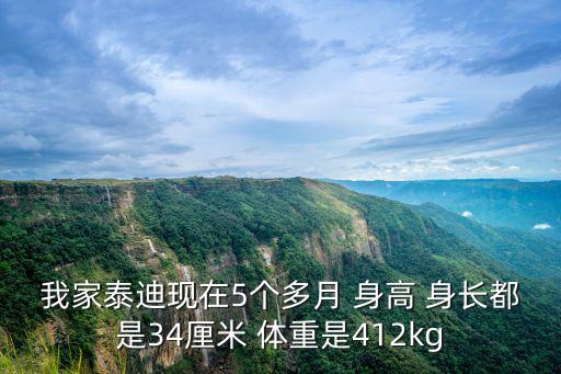 我家泰迪現(xiàn)在5個(gè)多月 身高 身長(zhǎng)都是34厘米 體重是412kg
