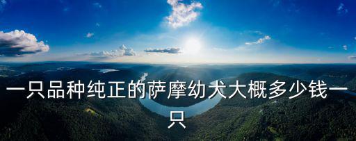薩摩幼犬地區價格多少錢一只，幼年薩摩耶犬多少錢一只