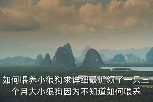 如何喂養小狼狗求詳細最近領了一只三個月大小狼狗因為不知道如何喂養