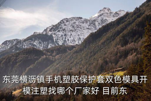 東莞橫瀝鎮(zhèn)手機(jī)塑膠保護(hù)套雙色模具開模注塑找哪個(gè)廠家好 目前東