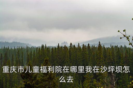重慶市兒童福利院在哪里我在沙坪壩怎么去