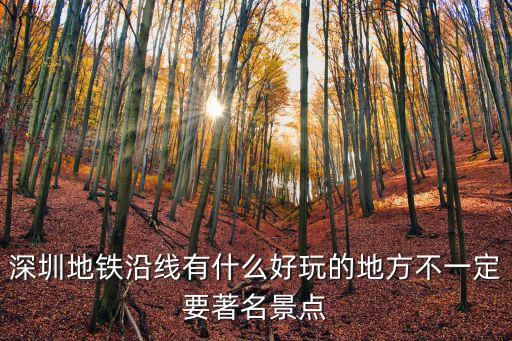 深圳地鐵沿線有什么好玩的地方不一定要著名景點