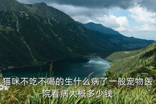 貓咪不吃不喝的生什么病了一般寵物醫院看病大概多少錢