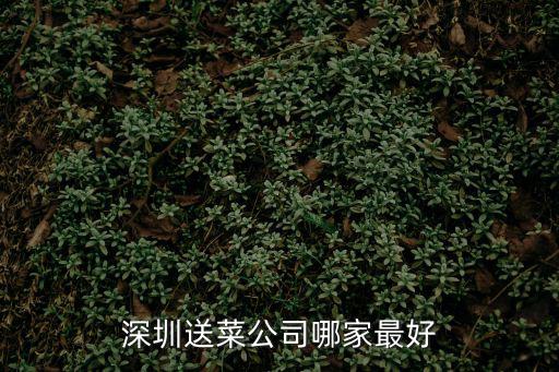 深圳送菜公司哪家最好