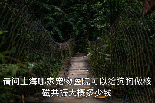 請問上海哪家寵物醫院可以給狗狗做核磁共振大概多少錢