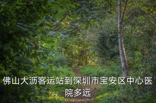 佛山大瀝客運站到深圳市寶安區(qū)中心醫(yī)院多遠(yuǎn)