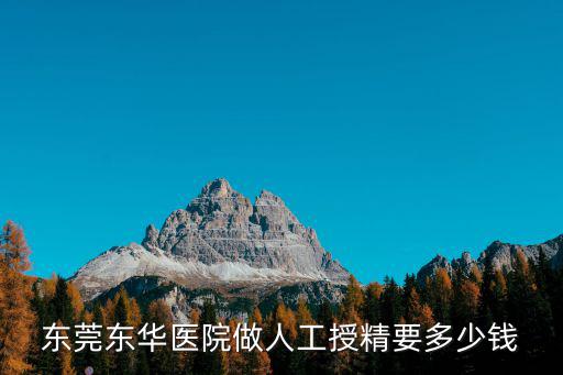 東莞東華醫院做人工授精要多少錢