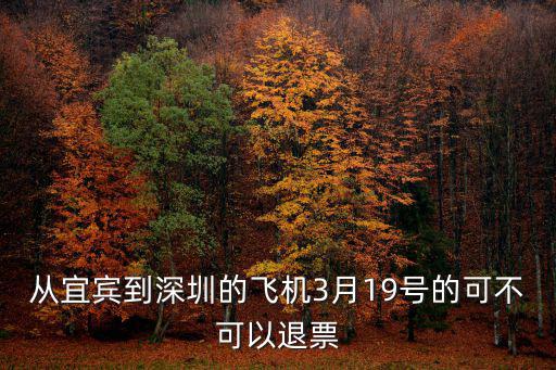 從宜賓到深圳的飛機3月19號的可不可以退票