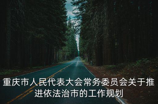 重慶市人民代表大會常務委員會關于推進依法治市的工作規劃