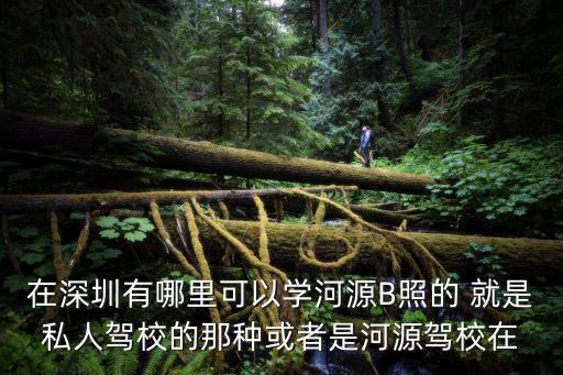 在深圳有哪里可以學河源B照的 就是私人駕校的那種或者是河源駕校在