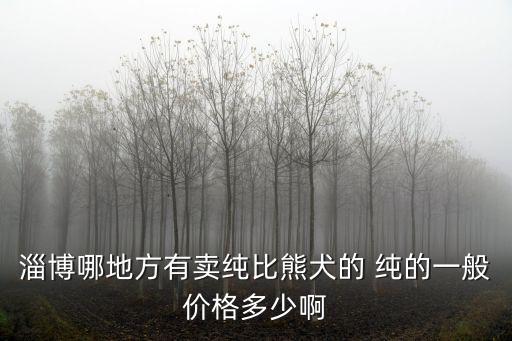 淄博哪地方有賣純比熊犬的 純的一般價(jià)格多少啊