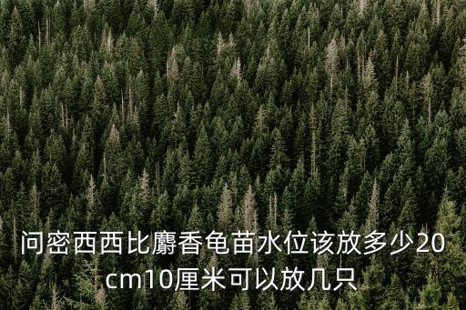 問密西西比麝香龜苗水位該放多少20cm10厘米可以放幾只