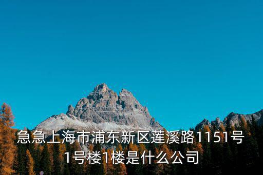 上海市浦東新區長順電纜，上海市浦東新區張江畢升路299弄12號樓是那家公司