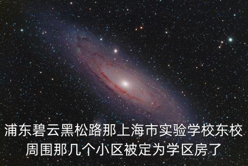浦東碧云黑松路那上海市實驗學校東校周圍那幾個小區被定為學區房了