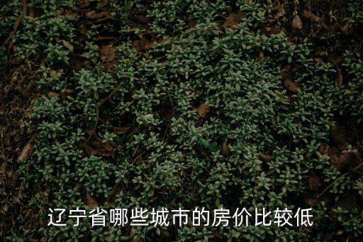 遼寧的哪個城市房價最便宜，遼寧省哪些城市的房價比較低