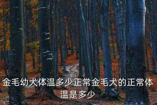 金毛幼犬體溫多少正常金毛犬的正常體溫是多少