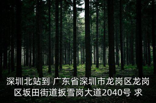 深圳北站到 廣東省深圳市龍崗區龍崗區坂田街道扳雪崗大道2040號 求