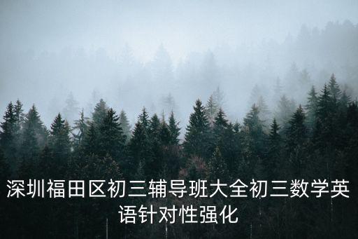 深圳福田區初三輔導班大全初三數學英語針對性強化