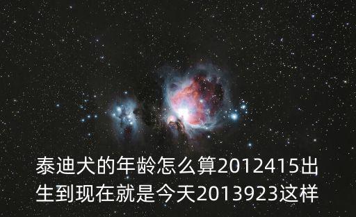 一年半的泰迪多少歲，泰迪狗多久成年