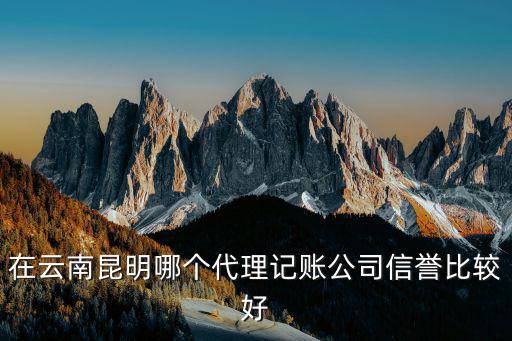 代理記賬公司，在云南昆明哪個代理記賬公司信譽比較好