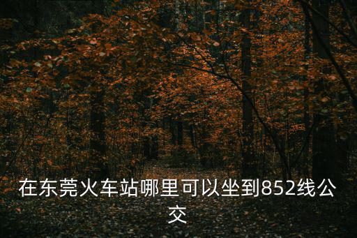 在東莞火車站哪里可以坐到852線公交