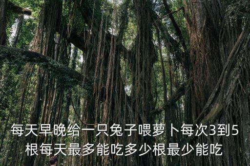每天早晚給一只兔子喂蘿卜每次3到5根每天最多能吃多少根最少能吃