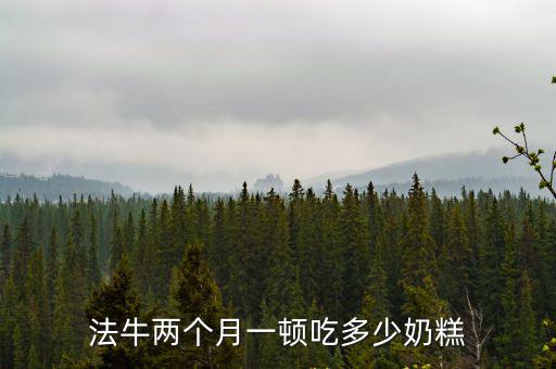 一歲的法牛一天吃多少，牛一天喂多少啊