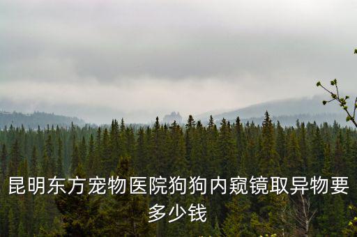 狗做手術取異物多少錢，昆明東方寵物醫院狗狗內窺鏡取異物要多少錢