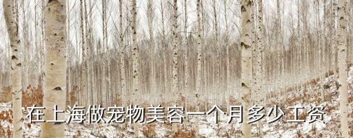 上海寵物美容工資多少，在上海做寵物美容一個月多少工資