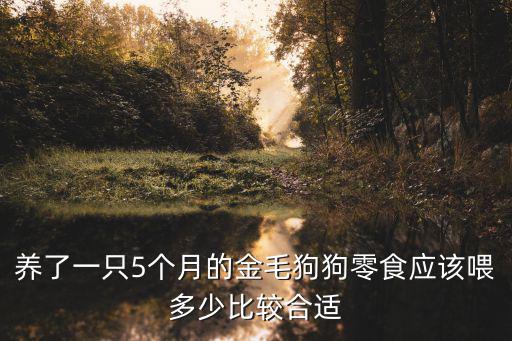 養了一只5個月的金毛狗狗零食應該喂多少比較合適