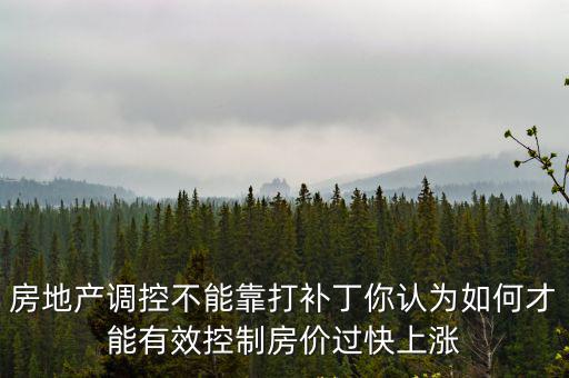 如何控制房價上漲，當房價上漲政府宏觀調配的主要方式