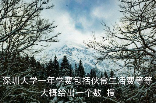 深圳大學一年學費包括伙食生活費等等大概給出一個數  搜