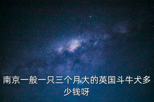 南京一般一只三個月大的英國斗牛犬多少錢呀