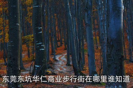 東莞東坑步行街圖片，東莞東坑華仁商業(yè)步行街在哪里誰知道