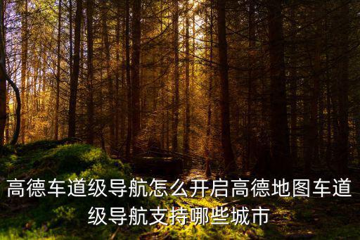 高德車道級導航怎么開啟高德地圖車道級導航支持哪些城市