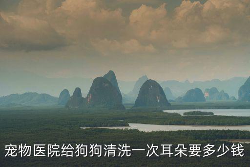 中山給狗狗絕育多少錢，小母狗做絕育大概要多少錢