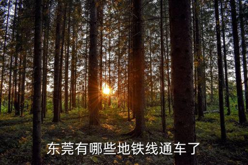 東莞有哪些地鐵線通車了