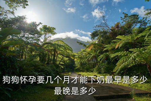 狗狗懷孕要幾個月才能下奶最早是多少最晚是多少