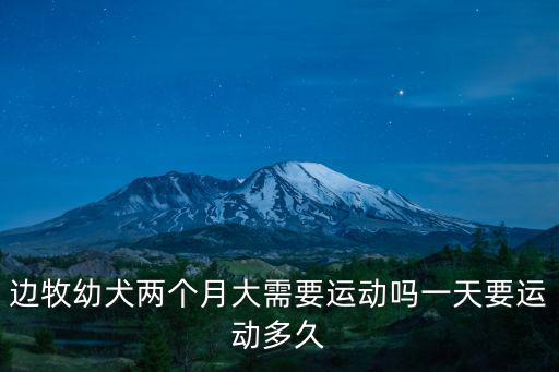 邊牧幼犬兩個月大需要運動嗎一天要運動多久