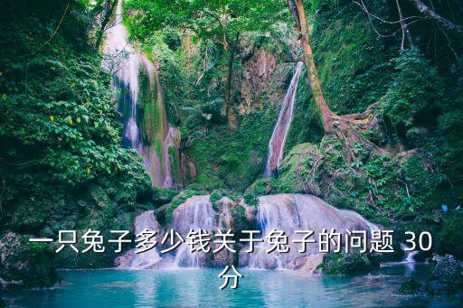 一只兔子多少錢關于兔子的問題 30分