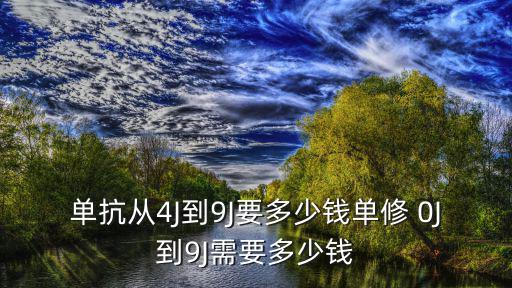 單抗從4J到9J要多少錢單修 0J到9J需要多少錢