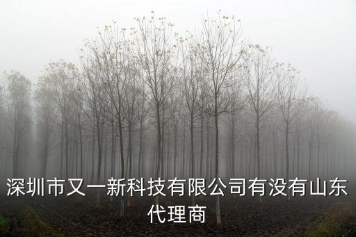 深圳市又一新科技有限公司有沒有山東代理商