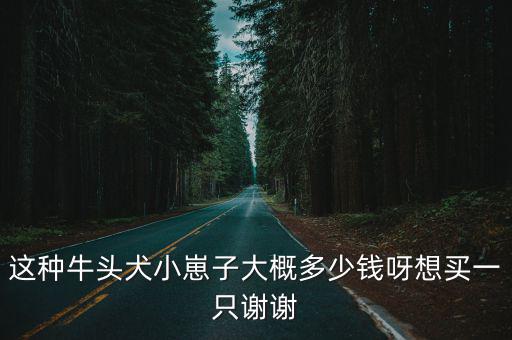 這種牛頭犬小崽子大概多少錢呀想買一只謝謝