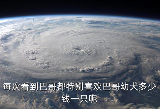 每次看到巴哥都特別喜歡巴哥幼犬多少錢一只呢